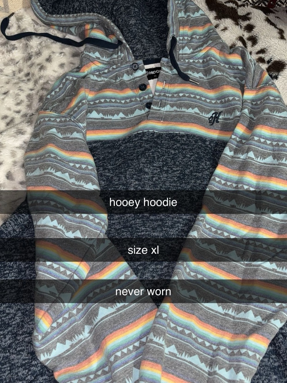 Hooey Gray Hoodie with Pastel Rainbow Stripes